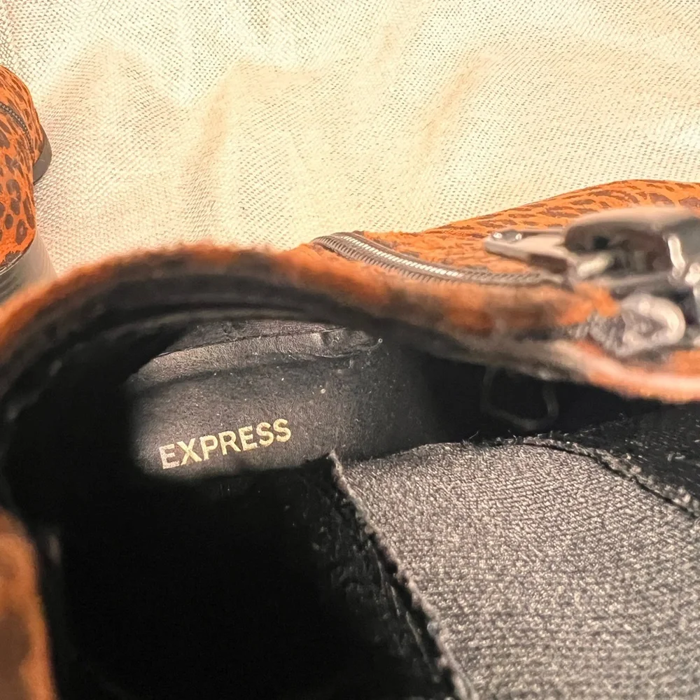 Express bold animal